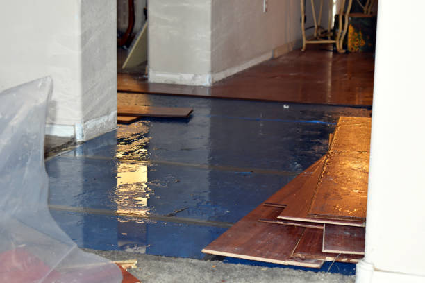 Professional Basement Flood Cleanup technician working in Plano, TX